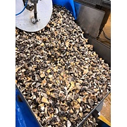 SMĚS HŘIBOVITÝCH HUB S LIŠKOU "KULAJDA" 1kg MRAŽ.