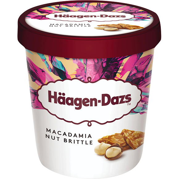 HÄAGEN DAZS VANILKOVÁ ZMRZLINA SMETANOVÁ S MAKADAMOVÝMI OŘECHY 460ml 