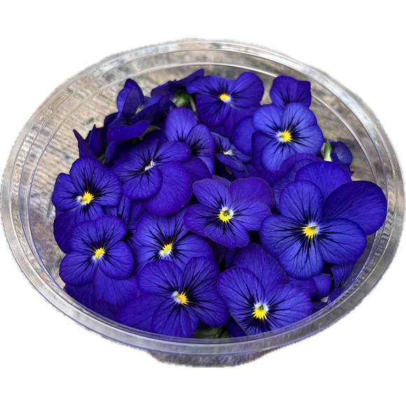 JEDLÉ KVĚTY MACEŠKY (VIOLA) 45-50ks HERBAFABRICA, země původu:CZ