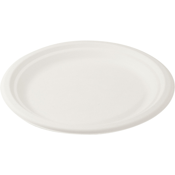 TALÍŘ KULATÝ BIO (CUKROVÁ TŘTINA) Ø 22 cm 50 ks