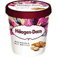 HÄAGEN DAZS VANILKOVÁ ZMRZLINA SMETANOVÁ S MAKADAMOVÝMI OŘECHY 460ml 